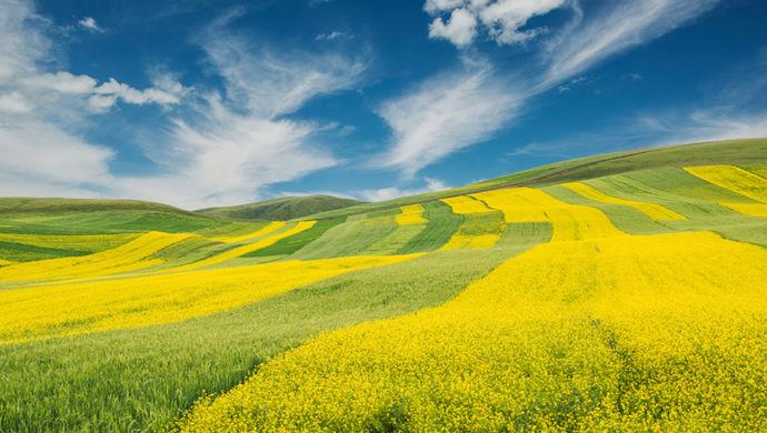 ����һ���ļ�Ϊ������ũҵ������ĸ�