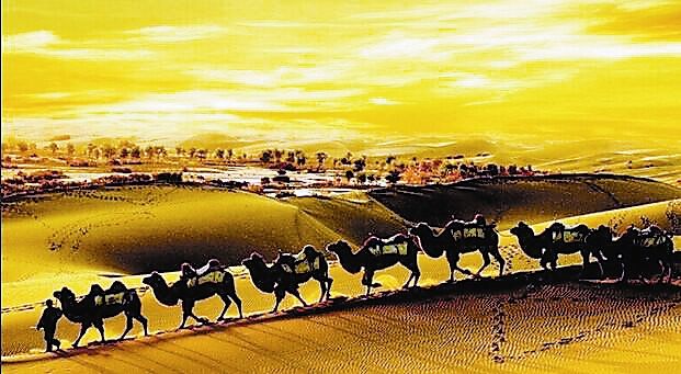 ��һ��һ·����������Ӯ���ɹ��嵥����5����270����