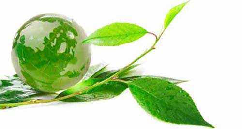 ���������������ɫ�ɹ����&ldquo;��&rdquo;����