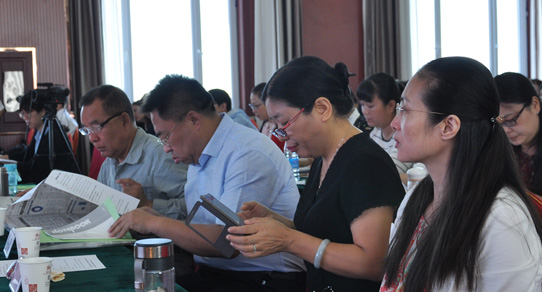 �����ɹ�ITɳ��