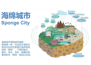 ����԰�ֺ���Ů̸������к�PPP����