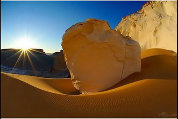 �ӡ�����ɹ������������������ܲɹ�